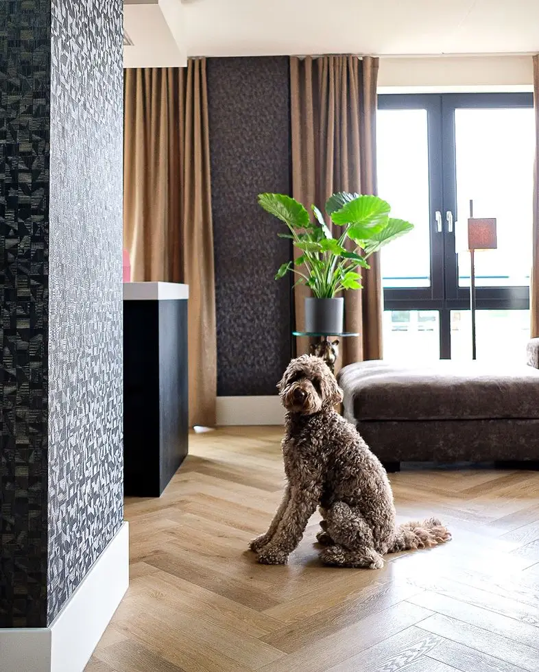 Visgraat pvc vloer in warme houttint in moderne woonkamer met hond